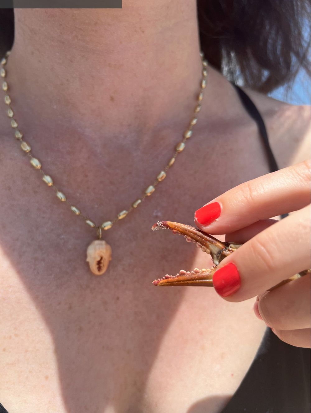 アクセサリー Marbar ApricotCrabClawModel.png?v=