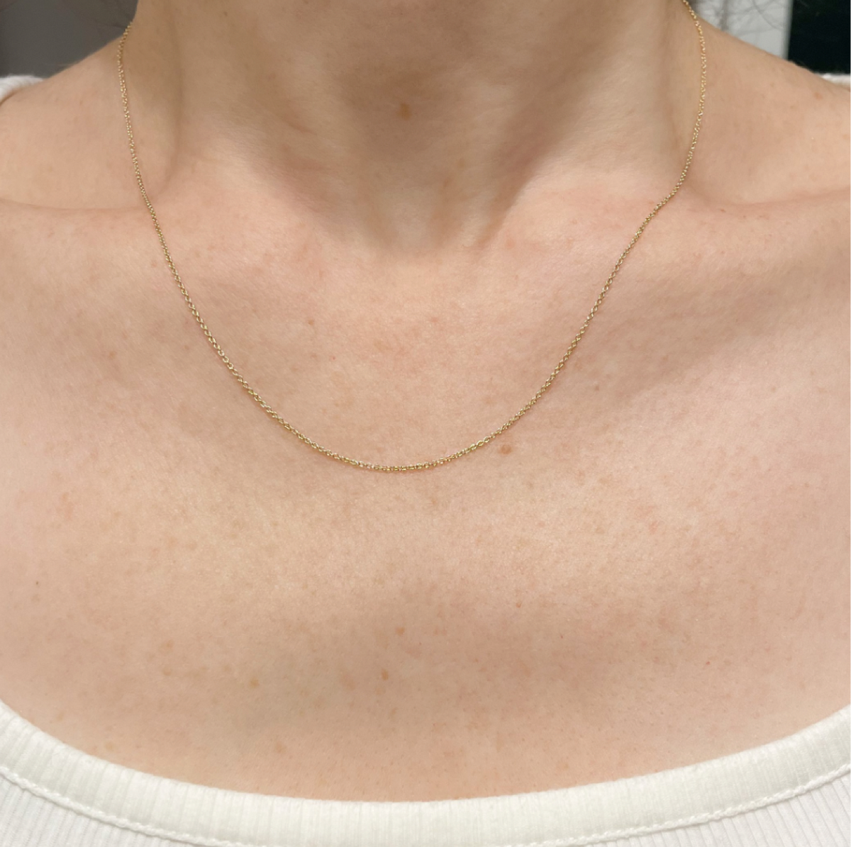 Delicate Cable Chain in 14K Gold – Maura Green