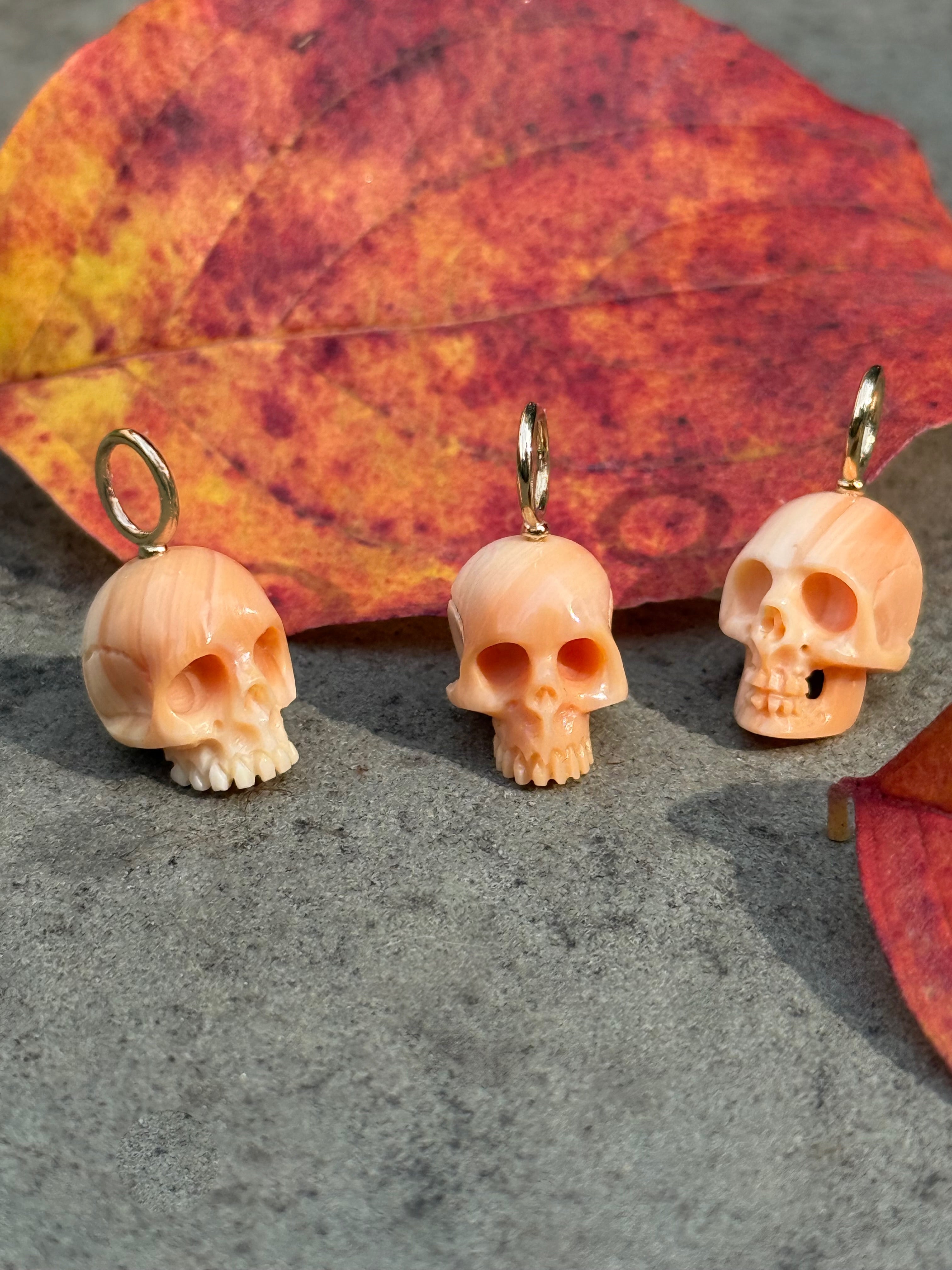 Sample Sale: Elongated Apricot Conch Skull Baby