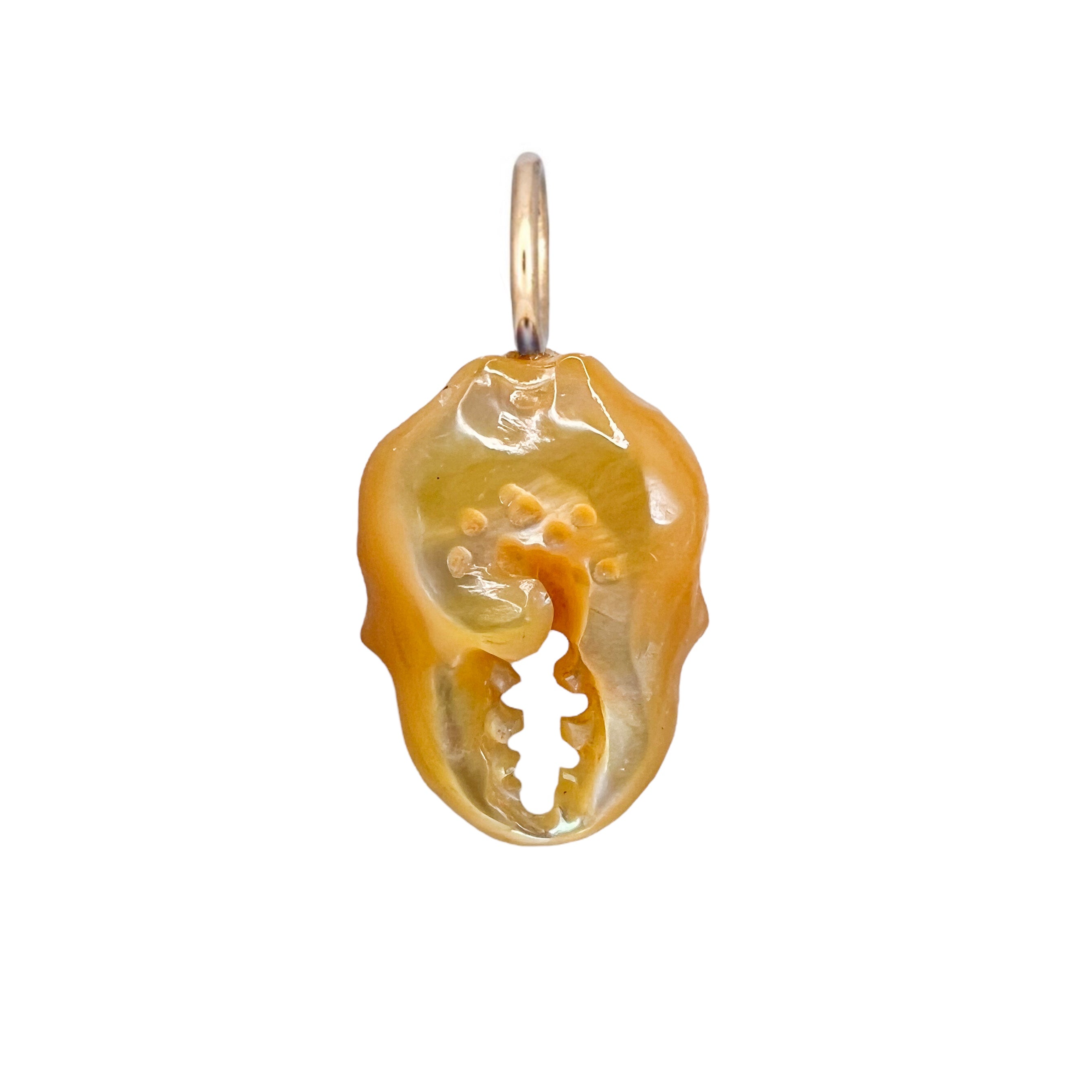A hand-carved golden mother of pearl crab claw with a 14k yellow gold bail designed by Maura Green