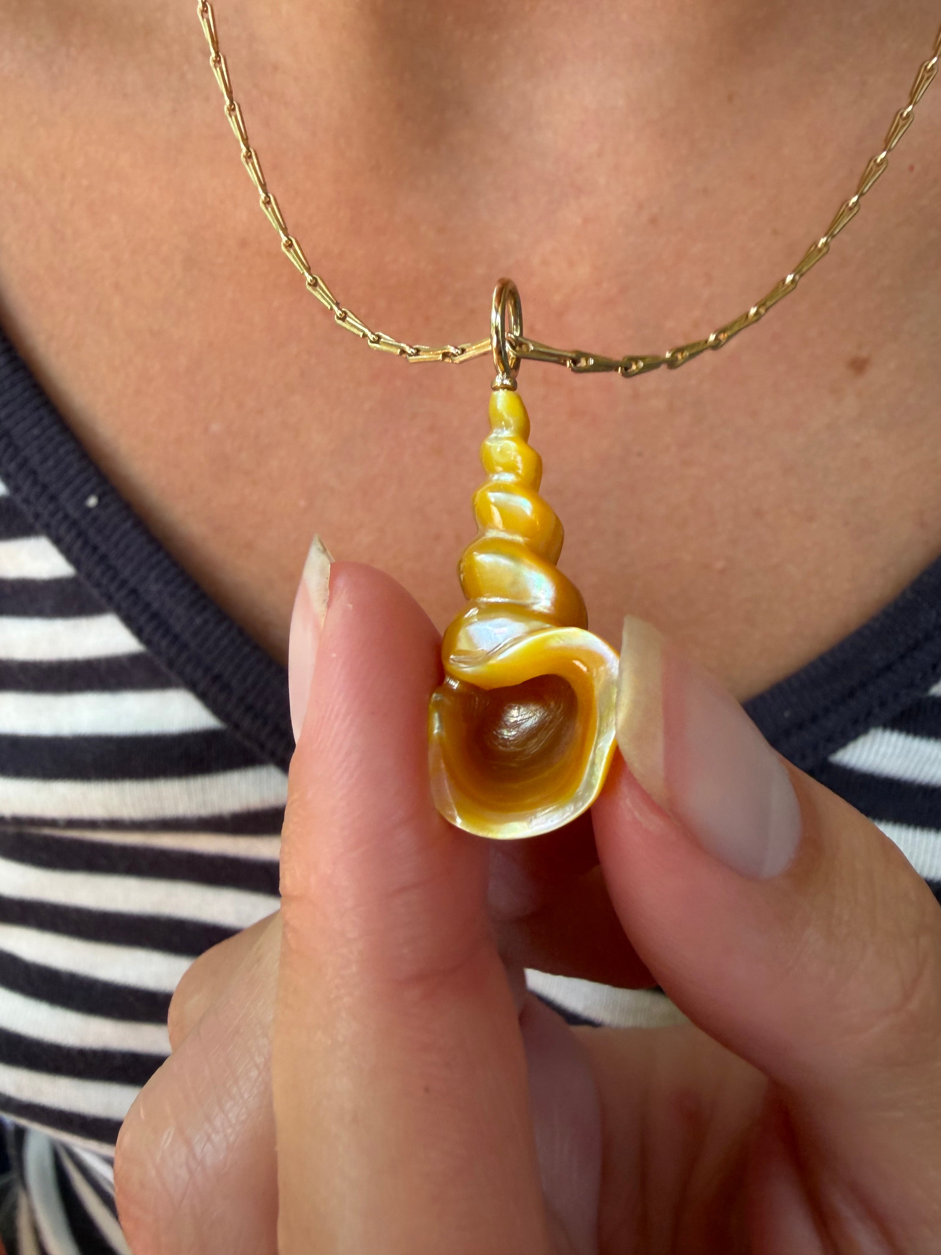 Sample Sale: Golden Mother of Pearl Spiral Shell