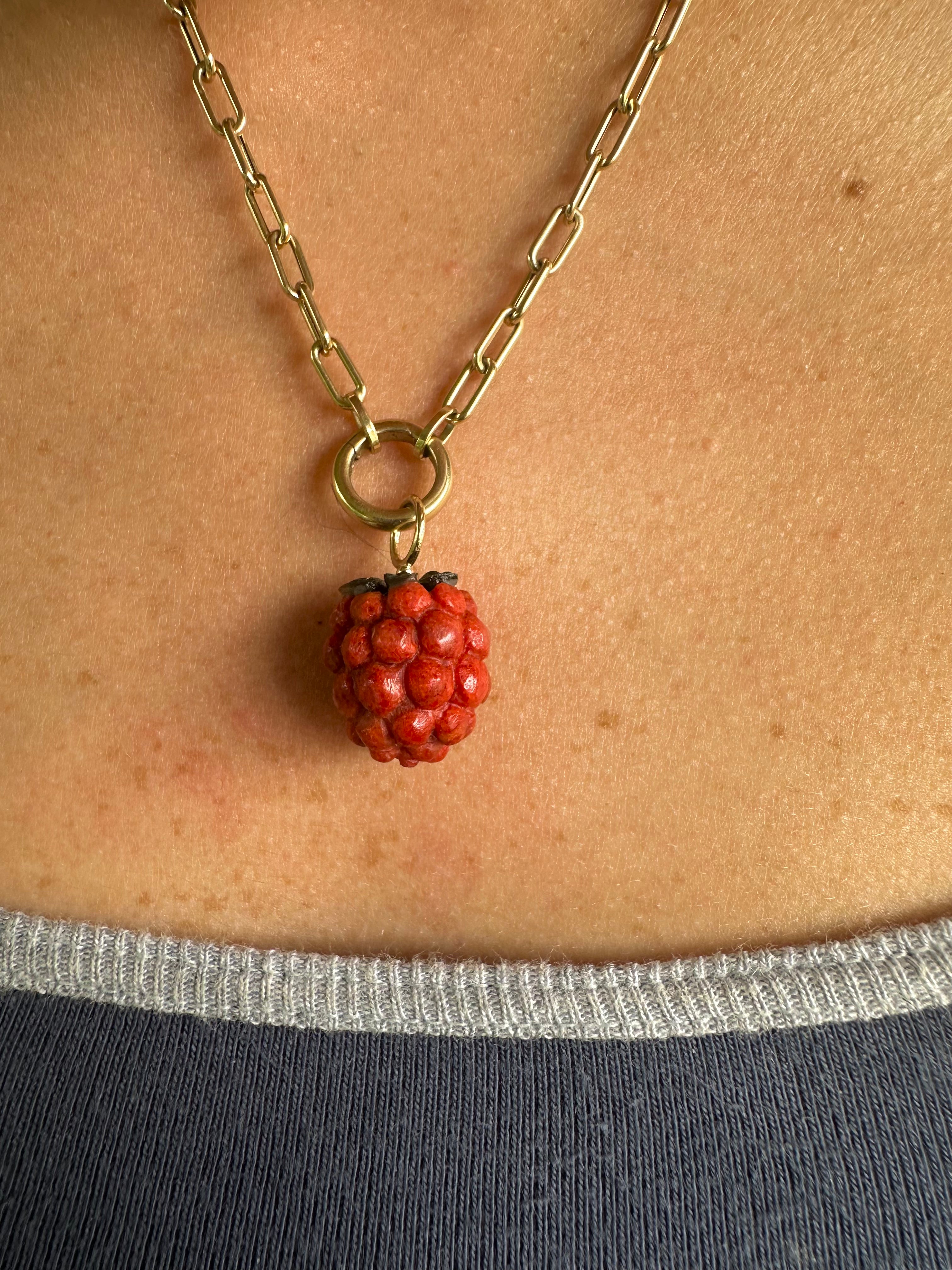 Red Sponge Coral Raspberry