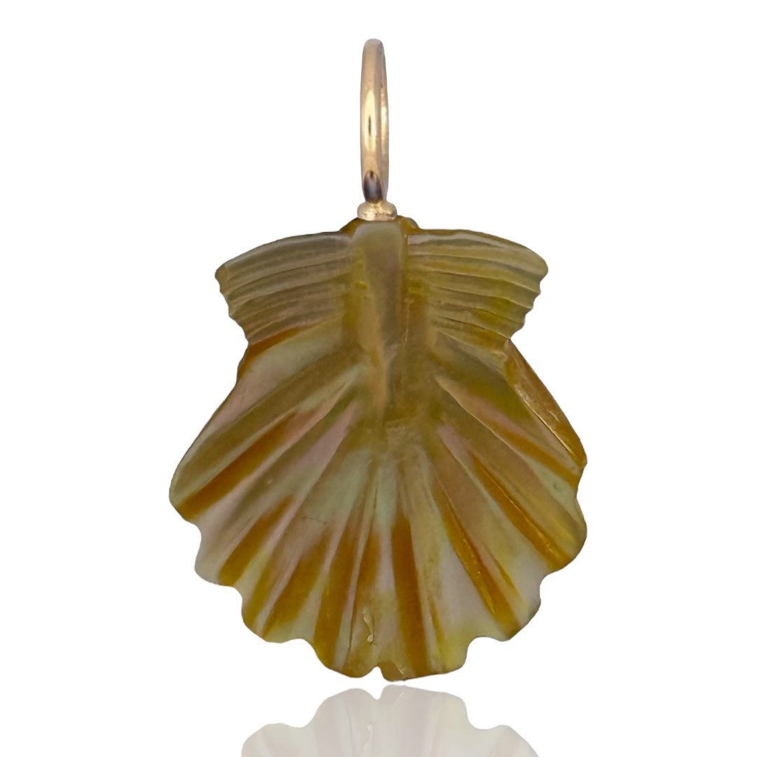 Sample Sale: Golden Mother of Pearl Scallop Shell