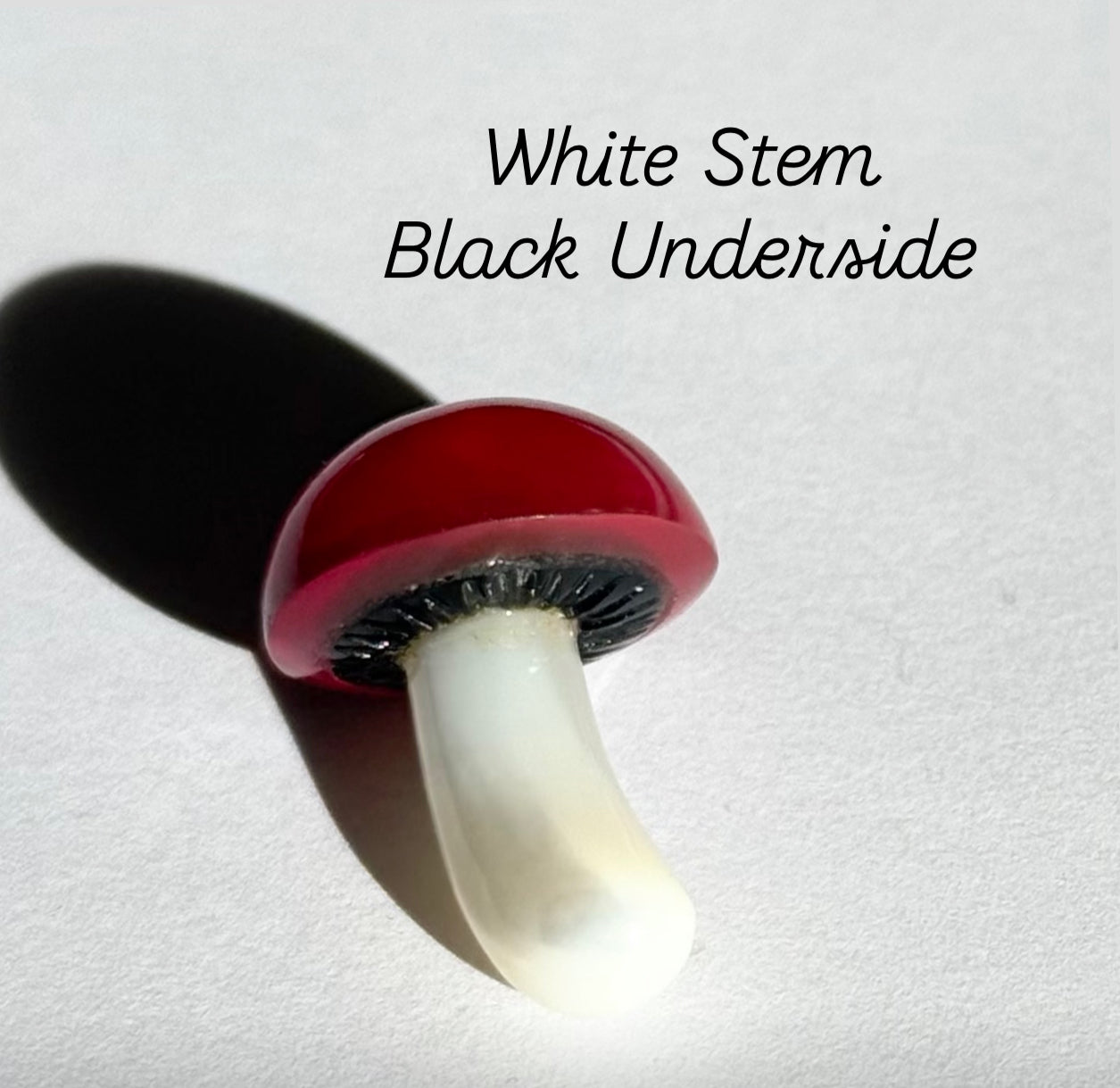Mushroom with white stem and black underside on white background designed by Maura Green